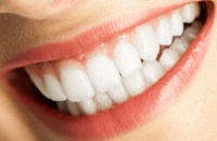 �z���C�g�j���O