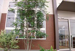 �ҍ����̑傫�ȑ��Ǝ���